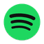 Spotify Player icon